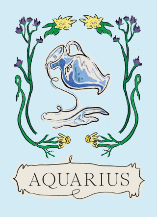 Cover image: Aquarius 9781804530030