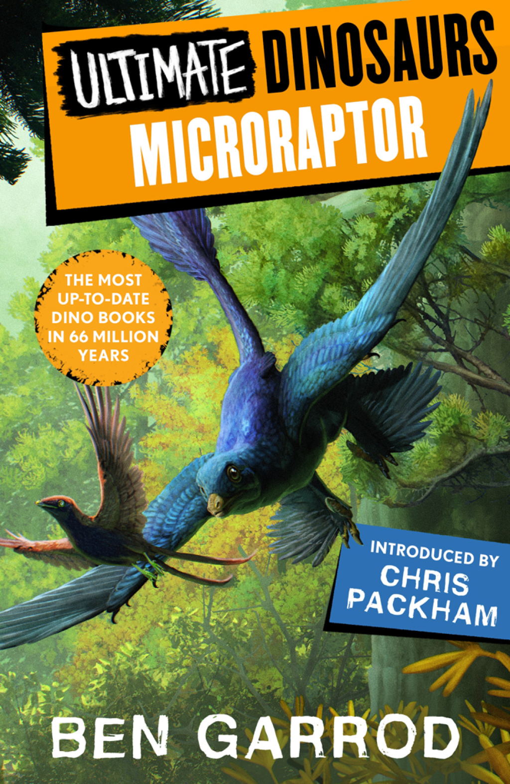Microraptor 1st Edition