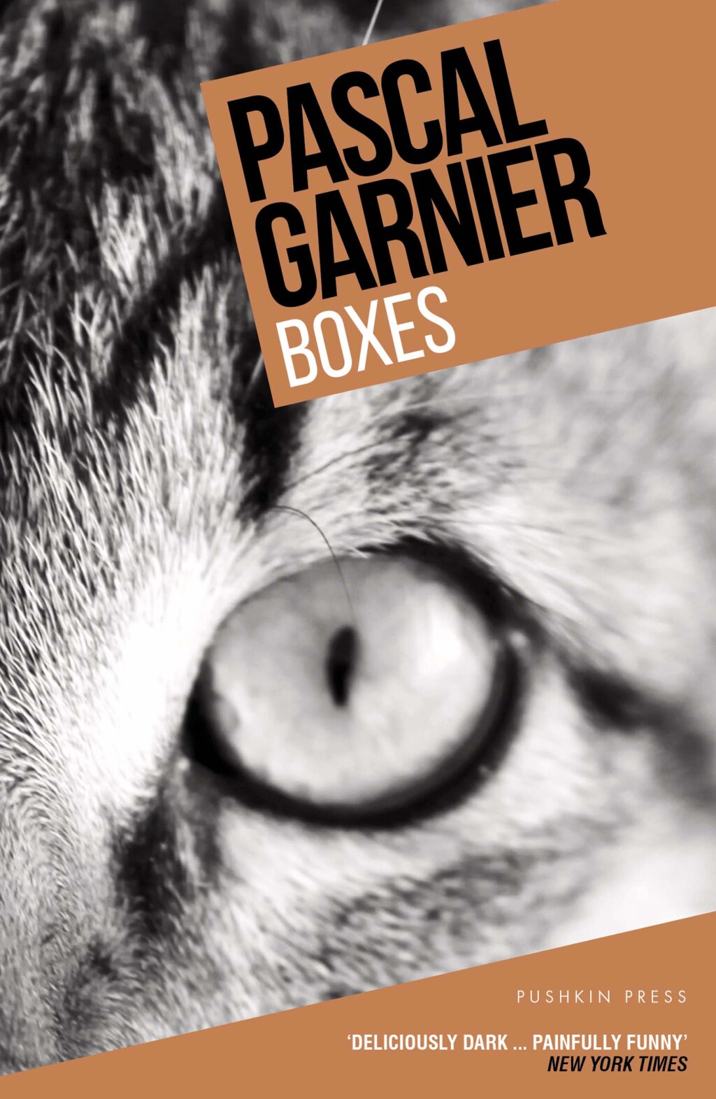 Boxes (eBook)