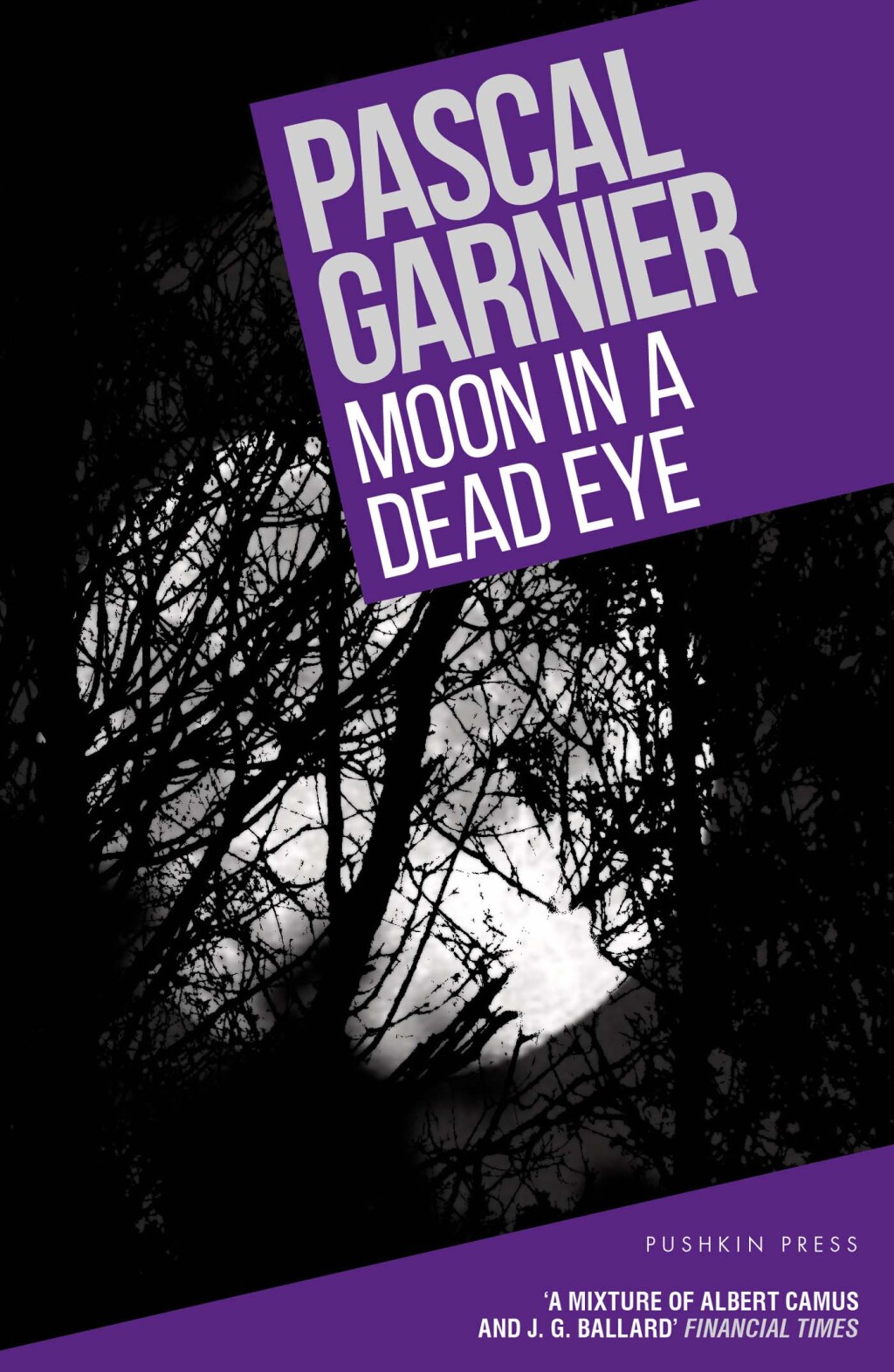Moon in a Dead Eye eBook