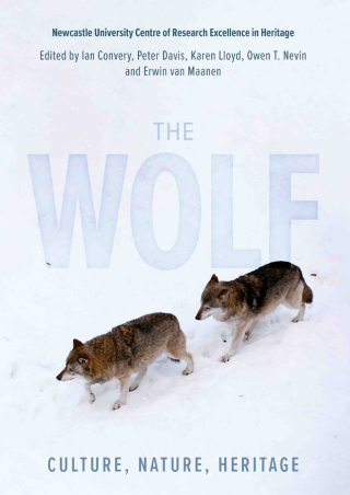 Imagen de portada: The Wolf 9781837650156