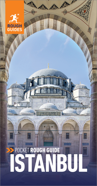 Cover image: Pocket Rough Guide Istanbul: Travel Guide 5th edition 9781839059742