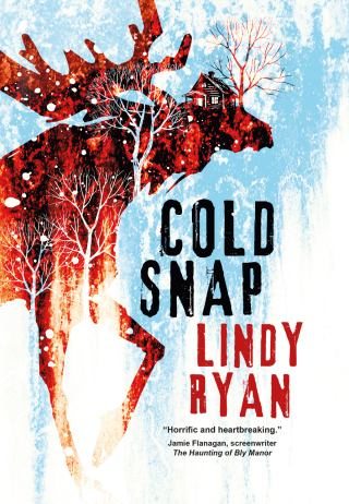 Cover image: Cold Snap 9781835410080
