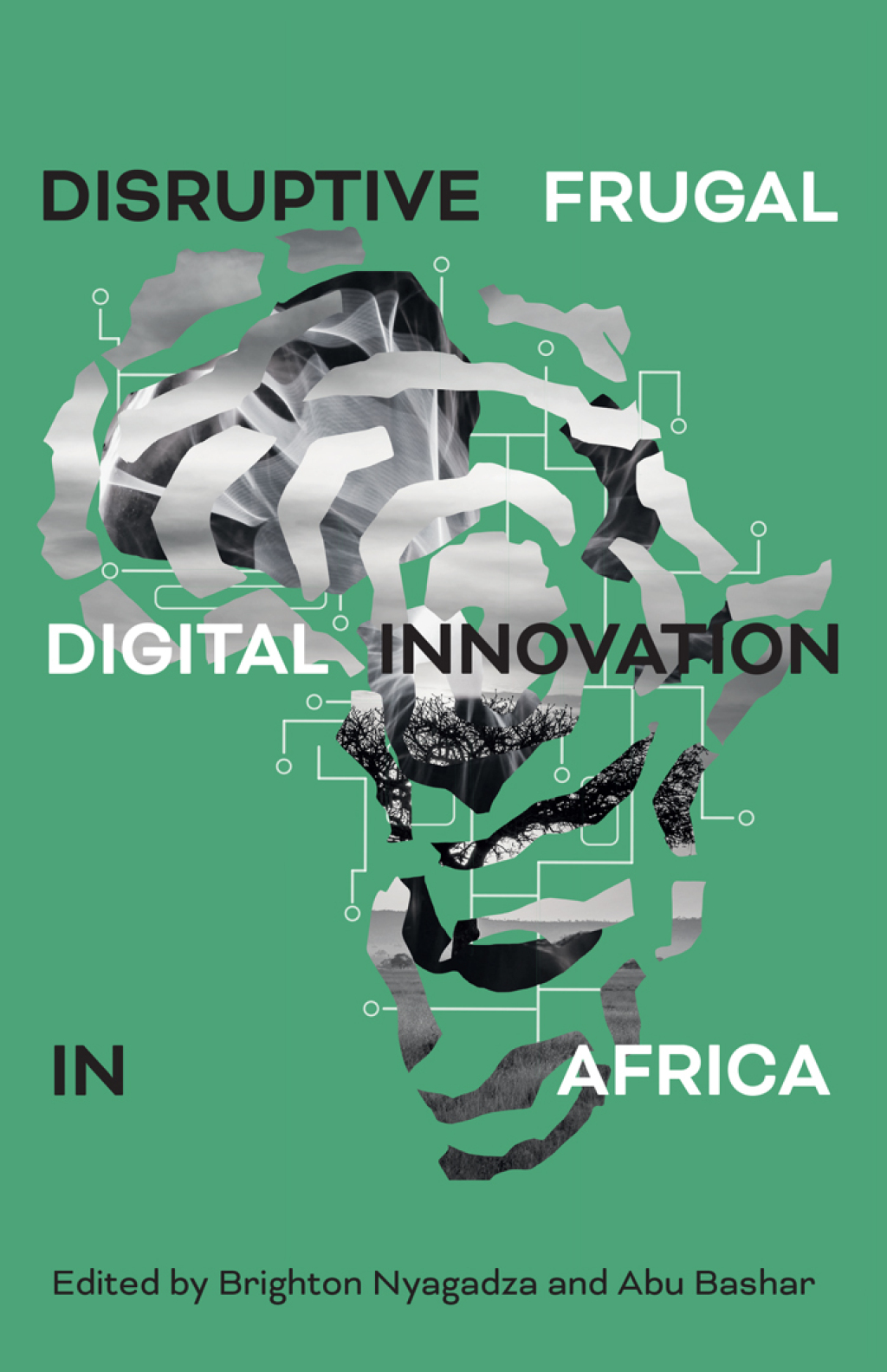 Disruptive Frugal Digital Innovation in Africa