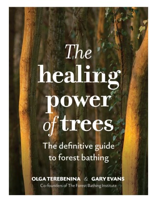 Cover image: The Healing Power of Trees 9781836000068