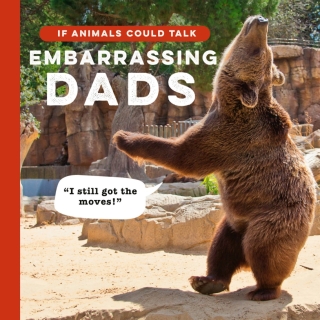 Cover image: If Animals Could Talk 9781836001003