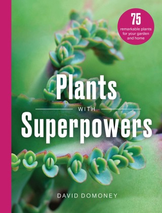 Cover image: Plants with Superpowers 9781836001171