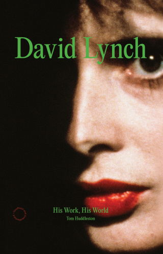 Cover image: David Lynch 9781836005964