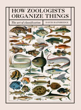 Cover image: How Zoologists Organize Things 9781836006503
