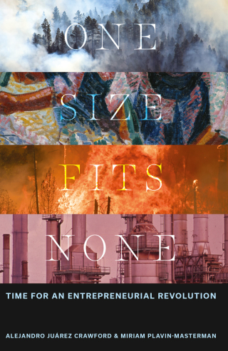 Immagine di copertina: One Size Fits None 9781836086635