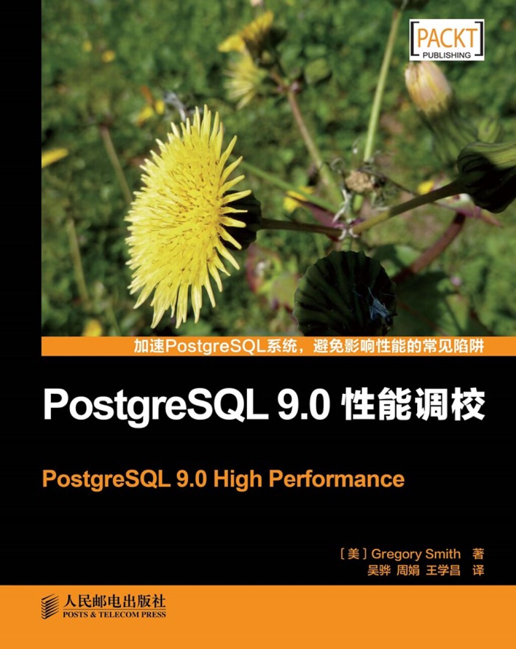 PostgreSQL 9.0性能调校 1st Edition