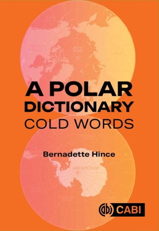 Imagen de portada: A Polar Dictionary 9781836991519