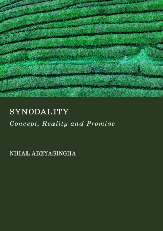 Imagen de portada: Synodality 1st edition 9781837111633