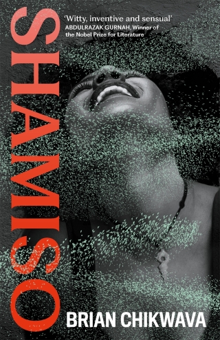 Imagen de portada: Shamiso 9781805301271