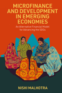 Titelbild: Microfinance and Development in Emerging Economies 9781837538270