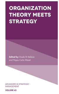 Cover image: Organization Theory Meets Strategy 9781837538690