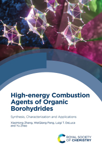 Imagen de portada: High-energy Combustion Agents of Organic Borohydrides 1st edition 9781837670017