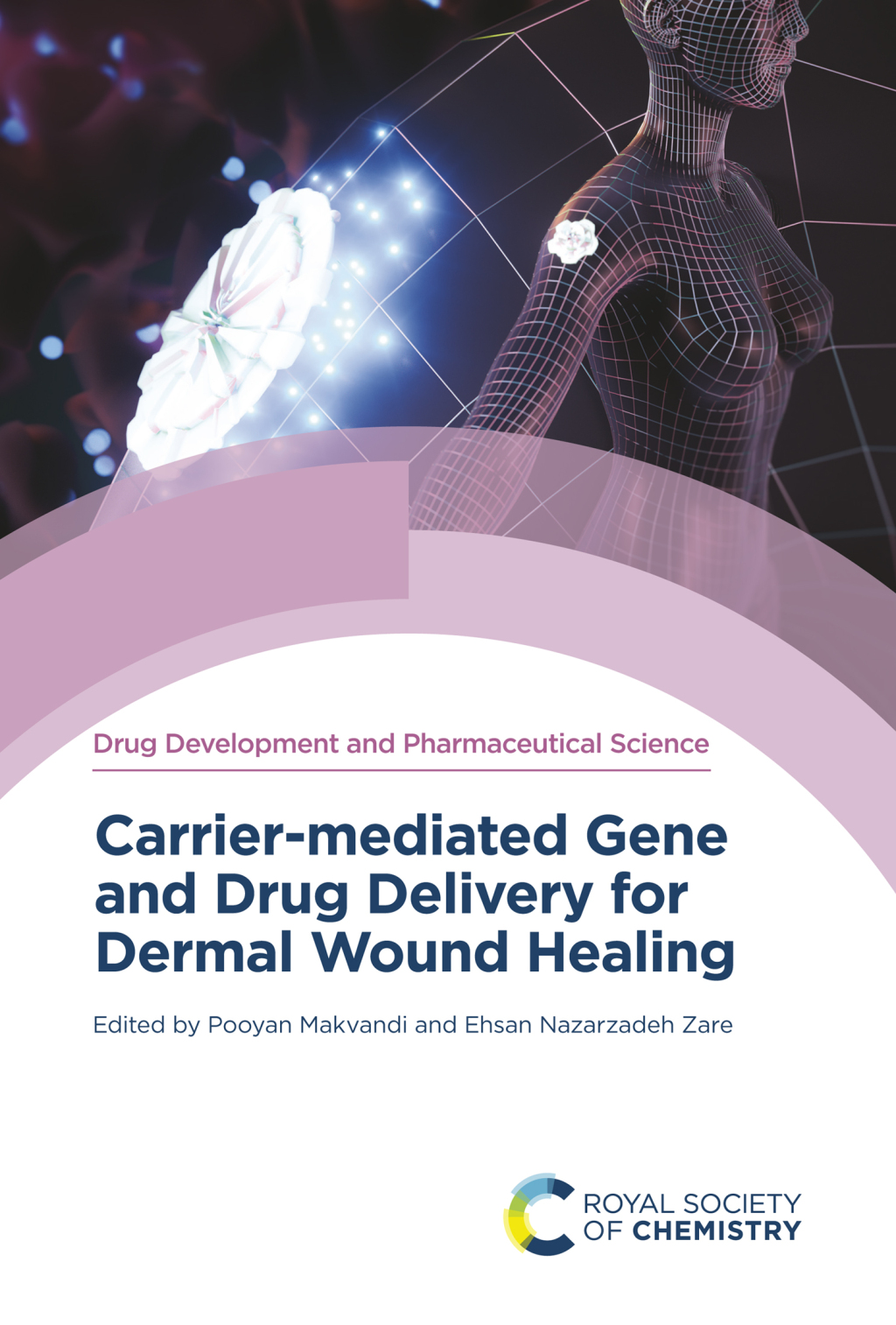 Carrier-mediated Gene and Drug Delivery for Dermal Wound Healing 1st Edition