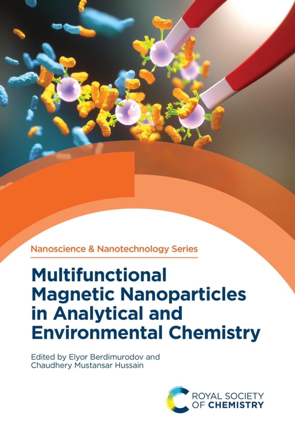 ISBN 9781837674336 product image for Multifunctional Magnetic Nanoparticles in Analytical and Environmental Chemistry | upcitemdb.com