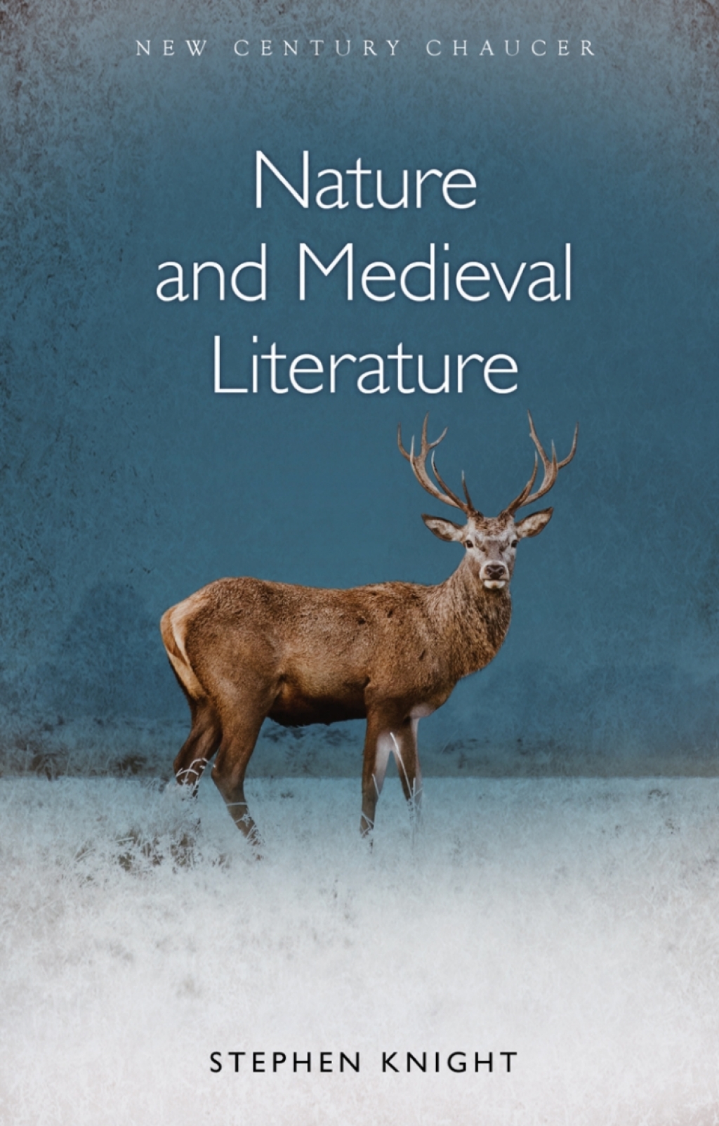Nature and Medieval Literature 1st Edition