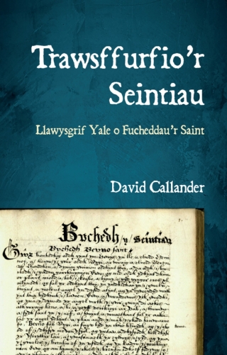 Immagine di copertina: Trawsffurfio’r Seintiau 1st edition 9781837721207