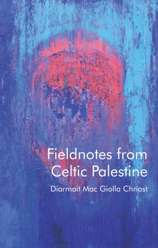 Immagine di copertina: Fieldnotes from Celtic Palestine 1st edition 9781837721894