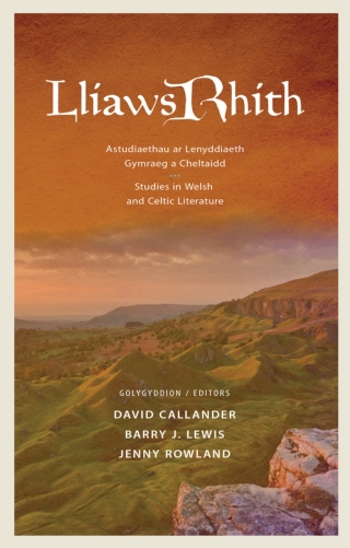 Imagen de portada: Lliaws Rhith 1st edition 9781837722679