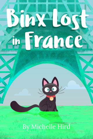 صورة الغلاف: Binx Lost in France 1st edition 9781837912711