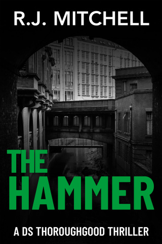 Cover image: The Hammer 1st edition 9781913230227
