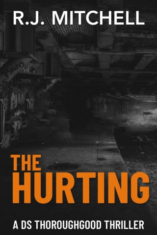 Cover image: The Hurting 1st edition 9781913230135
