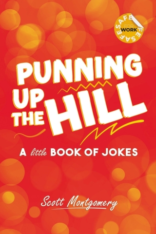 صورة الغلاف: Punning Up That Hill 1st edition 9781837916733