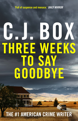 Cover image: Three Weeks to Say Goodbye 1st edition 9781837931668