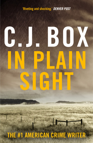 Immagine di copertina: In Plain Sight 1st edition 9781837931941