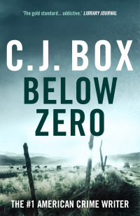 Cover image: Below Zero 1st edition 9781837932009