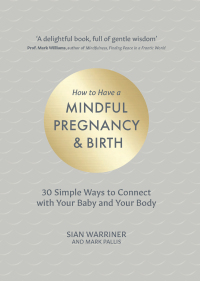 Cover image: How to Have a Mindful Pregnancy and Birth 9781837962525