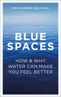 Cover image: Blue Spaces 9781837963249