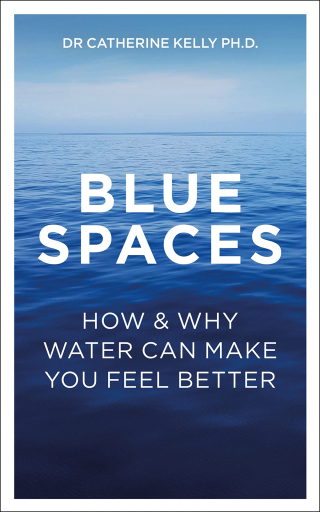 Cover image: Blue Spaces 9781837963249