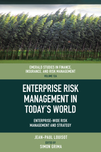 Cover image: Enterprise Risk Management in Today’s World 9781837974078