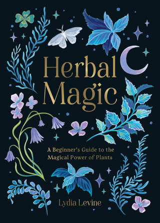 Cover image: Herbal Magic 9781837991297