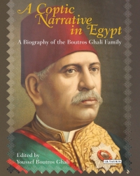 Imagen de portada: A Coptic Narrative in Egypt 1st edition 9781780769394