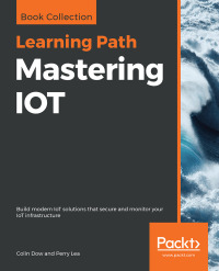 Cover image: Mastering IOT 1st edition 9781838645434