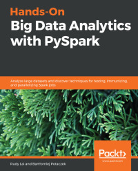 Imagen de portada: Hands-On Big Data Analytics with PySpark 1st edition 9781838644130