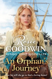 Cover image: An Orphan's Journey 9781838773397