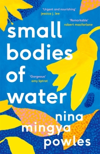 Omslagafbeelding: Small Bodies of Water 9781838852184