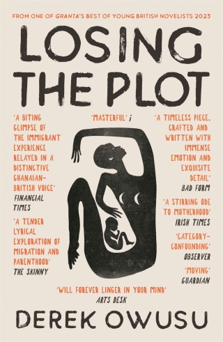 Titelbild: Losing the Plot 9781838855642