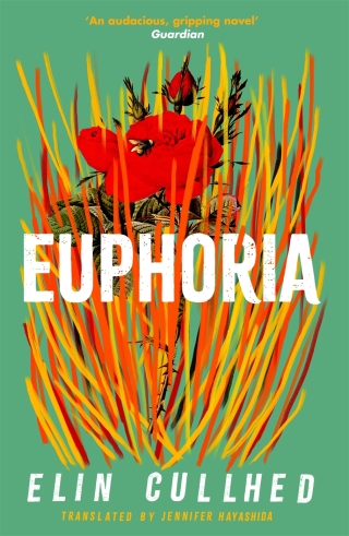 صورة الغلاف: Euphoria 9781838855994