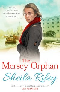 Cover image: The Mersey Orphan 9781838898366
