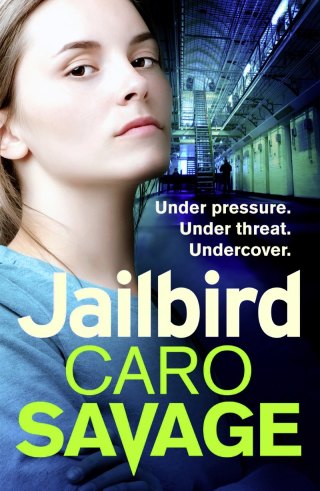 Cover image: Jailbird 9781838894368