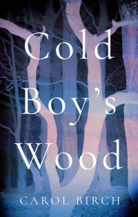 Imagen de portada: Cold Boy's Wood 1st edition 9781838939434