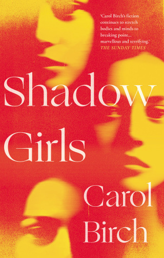 Imagen de portada: Shadow Girls 1st edition 9781838939458